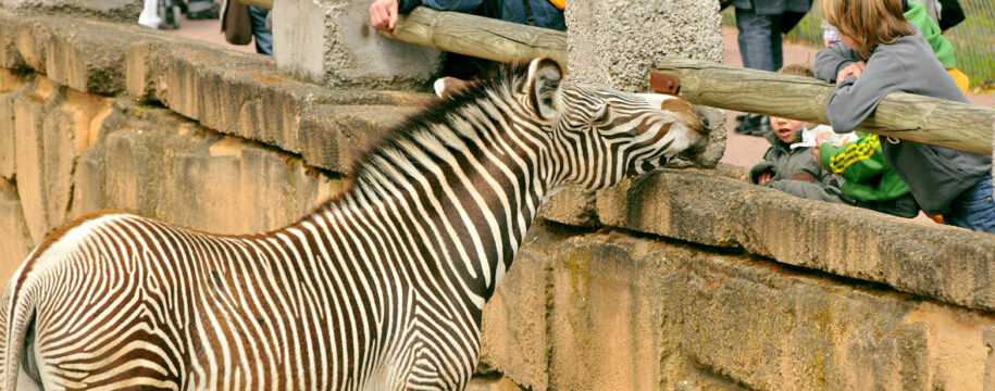 parc zoologique à Lyon